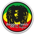 Reggae Seeds Regulares