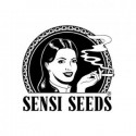 Sensi Seeds Bank Regulares